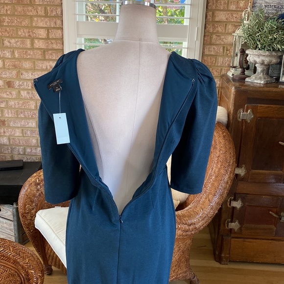 ANN TAYLOR PETITE BIT EQUESTRIAN HORSES 3/4 SLEEVE DRESS 6 P NEW - Picture 8 of 11